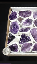 Load image into Gallery viewer, Amethyst Druzy Raw Natural Crystal
