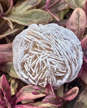 Load image into Gallery viewer, Desert Rose Selenite / Gypsum / Sand Rose / Selenite Rose / Gypsum Rose
